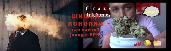 прущий лед Алзамай