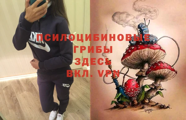 скорость Абаза