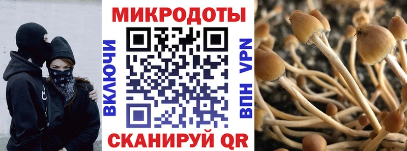 Псилоцибиновые грибы MAGIC MUSHROOMS хочу Орск