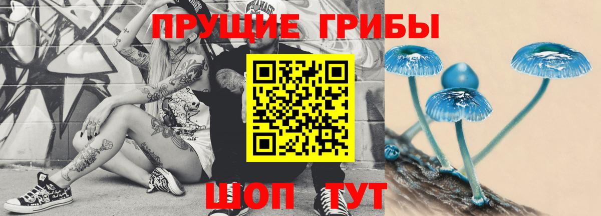 Орск  Галлюциногенные грибы ЛСД  Вход с VPN 